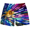 New Men Tiger Cat Beach Shorts 3D Printed Starry Sky Short Pants Fashion Street Oversize Breathable Sports Gym Women Shorts 6