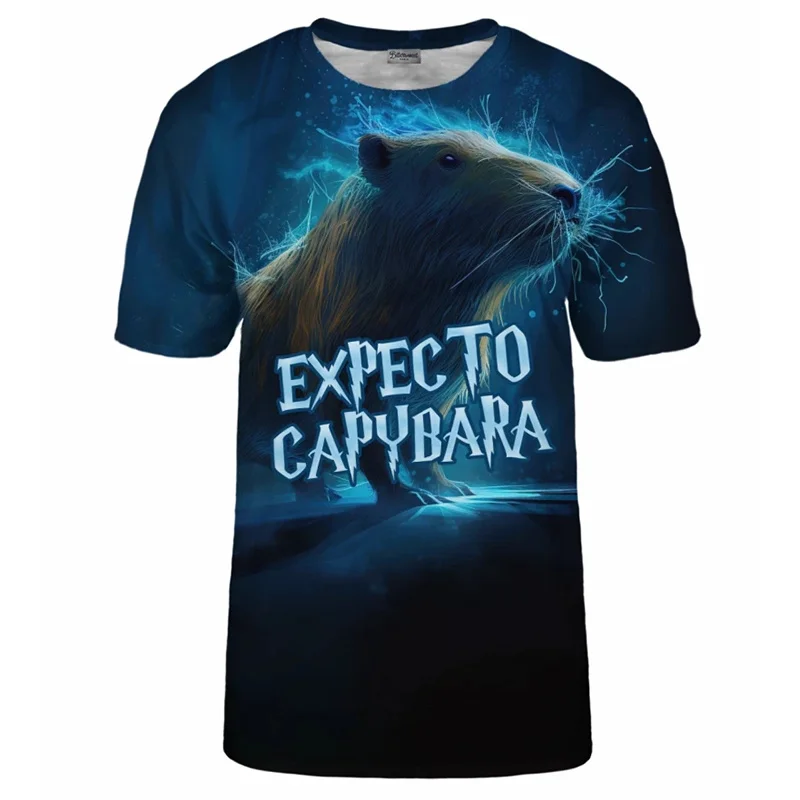 【LMC】 CAPYBARA TEE Capybara Tee – atthemoment