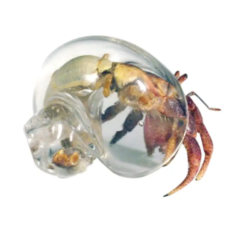 Hermit Crab House Clear Glass Conch Shells For Hermit Crab Fish Tank Ornaments Spiral Shells Art Supplies Decor