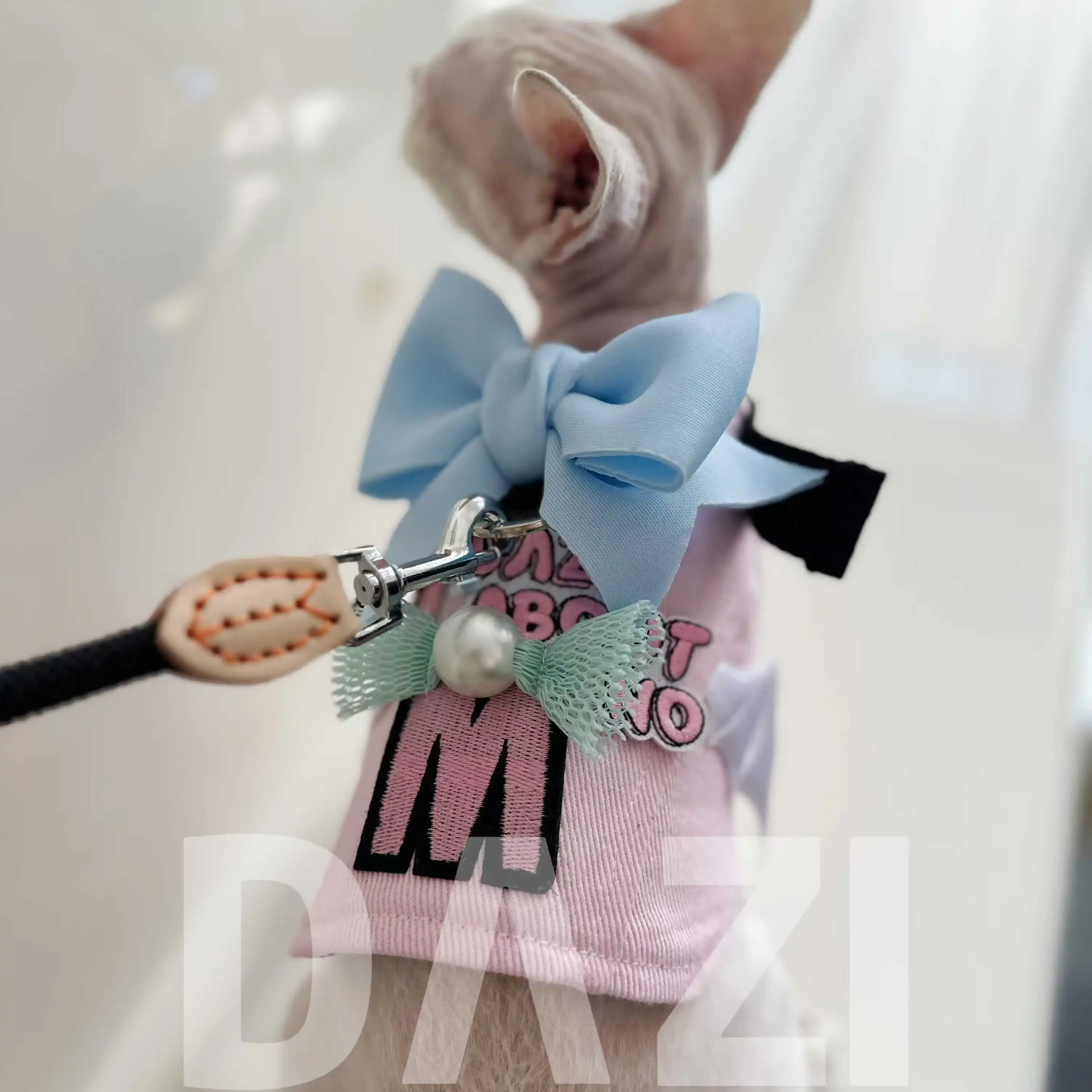 귀여운 Bowknot 스핑크스 하네스 가죽 끈 세트 핑크 고양이 하네스 가죽 끈 Kawaii 하네스 조끼 Devon Kittens 야외 산책