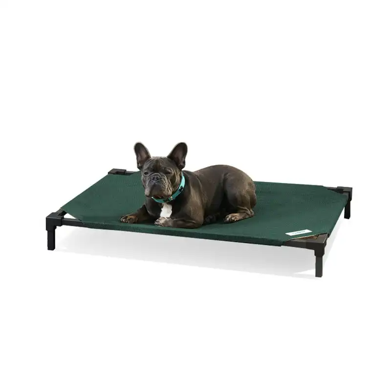 

Elevated Dog Bed Pro, Medium, Fits in 42in Crates, Brunswick Green Guinea pig accessories Pooper scooper Bunny accessories pet L