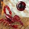 Remote Control Toy Realistic Scorpion Model Rc Animal High Simulation Fake Scorpion Prank Infrared Electric Toys Present Gifts A 5