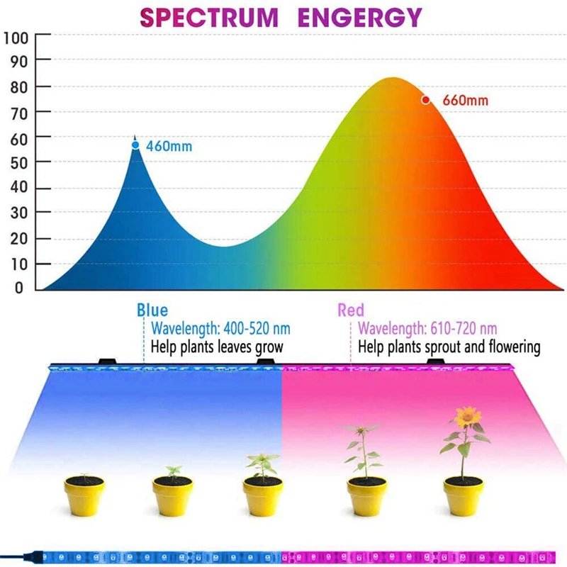 Рисунок 3 - Светодиодная Водонепроницаемая