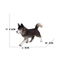 Siberian Husky Dog A