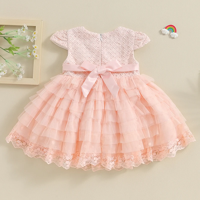 

Newborn Infant Baby Girl Summer Short Sleeve Flower Tulle Dress Princess Birthday Party Pageant Tutu Dresses