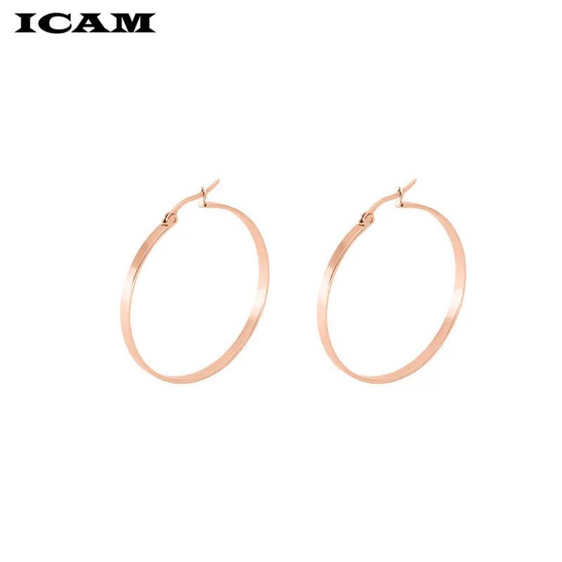 ICAM Fashion New 1 PairsGold Silver Small Big Circle Stainless Steel Hoop Earrings for Women Steampunk Round Earring