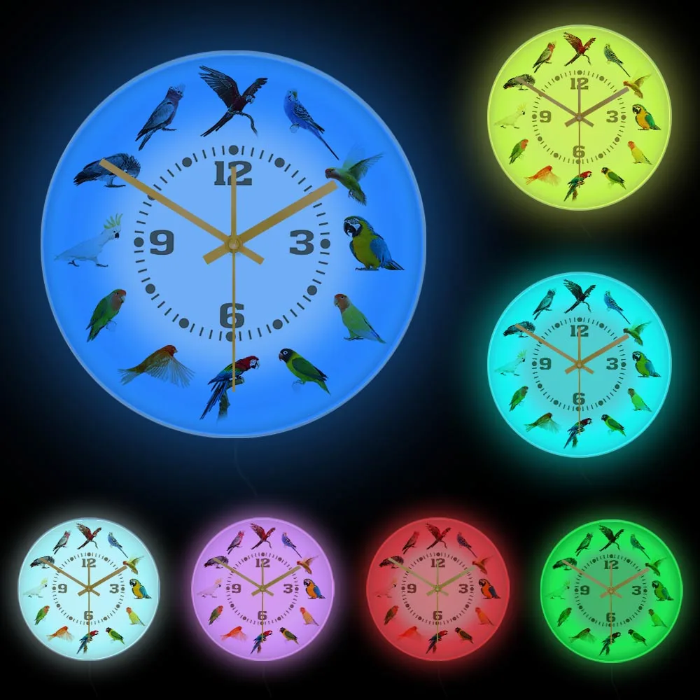Birds Breeds Collection Modern Wall Clock Non Ticking Wall Watch Parrot Bird Pet Species Exotic Wall Art Bird Lovers Home Decor 6