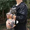 Portable Breathable Cat Bag Pet Travel Tote Bag Backpack For Carrying Pets On Both Shoulders Outdoor Travel Set For Cats And Dog 5