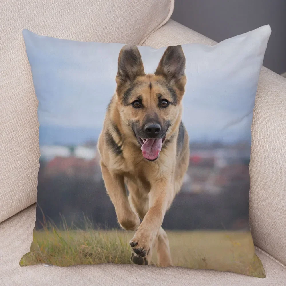 

Cute Pet Dog Polyester Cushion Cover for Home Living Room Sofa Bedroom Decoration Throw Pillow Cover
