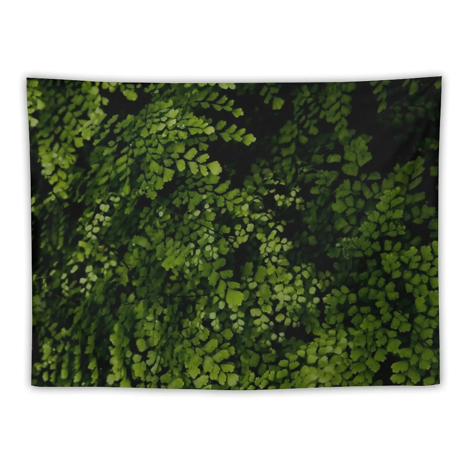 

Small leaves. Tapestry Aesthetic Home Decor Aesthetic Room Decoration Room Decor Aesthetic Home Decorating Tapestry