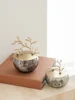 Light Luxury Aluminium Gold Tree Branch Decorative Glass Storage Jar Food Candy Jewellery Wedding Decoration Accessories 2