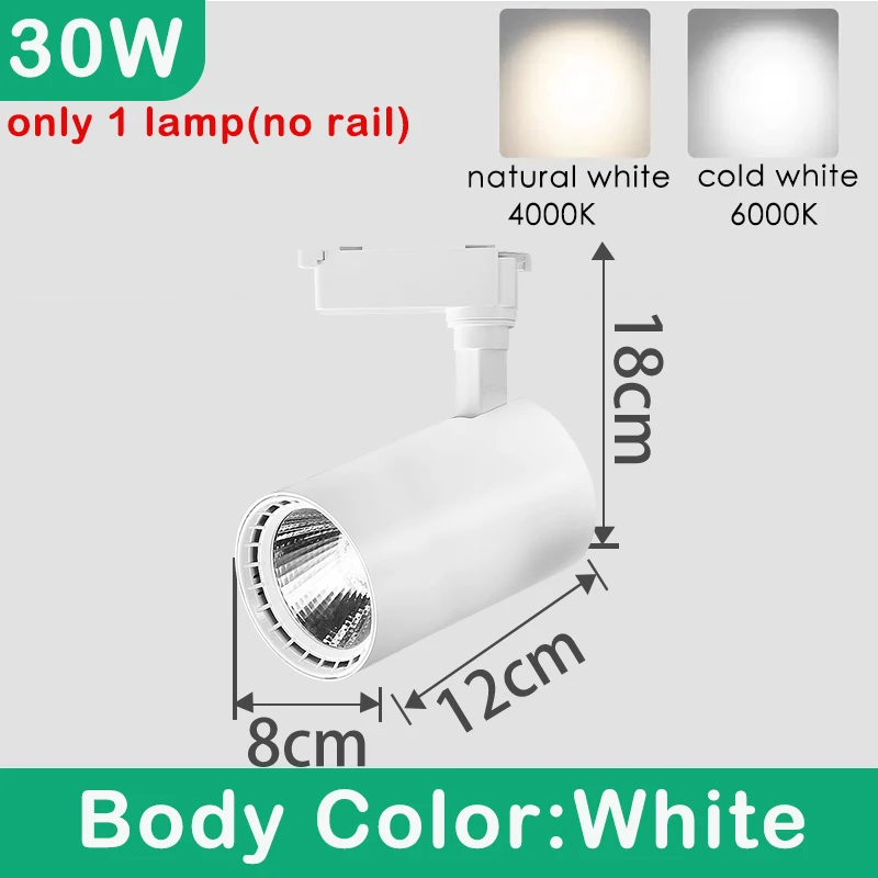 30W White1 piece