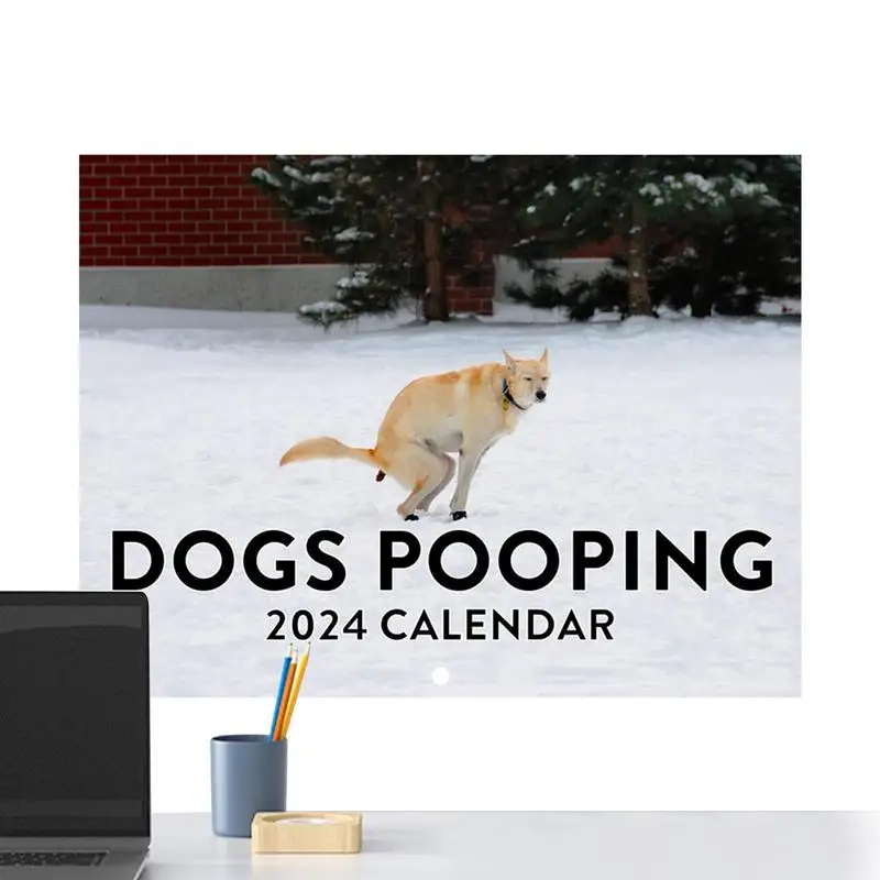 

Fun Wall Calendar Funny Calendar For Wall Wall Decor Calendar With Dog Poop Photos For Offices School Home Hotel Classroom