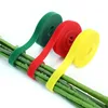 40/2M Nylon Plant Ties Plant Bandage Adjustable Plant Support Loop Reusable Fastener Organizer Straps for Home Garden Supplies 5