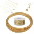 0.2mm 100m