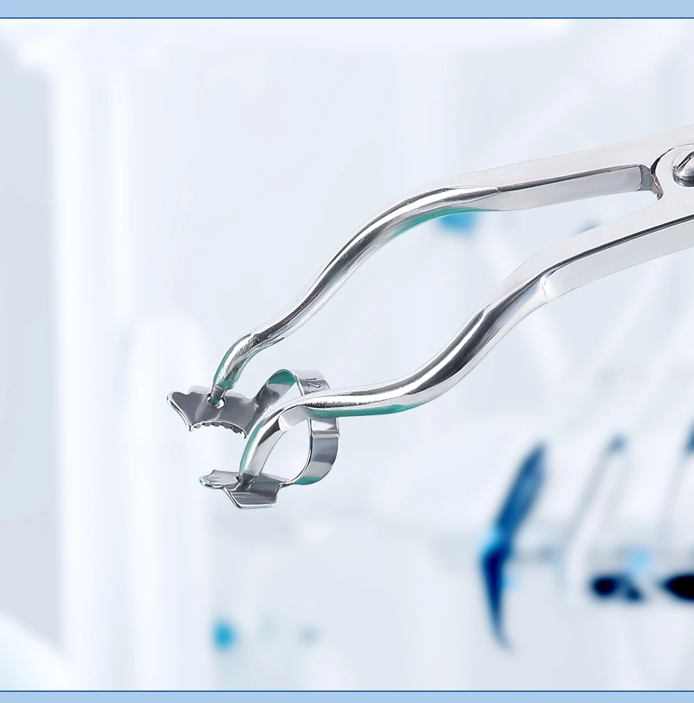 AZDENT Dental Kofferdamklemmen, Edelstahl, endodontische restaurative Barriereklammern, Zahnmedizin, Backenzähne, kieferorthopädische Materialien – Detail 5