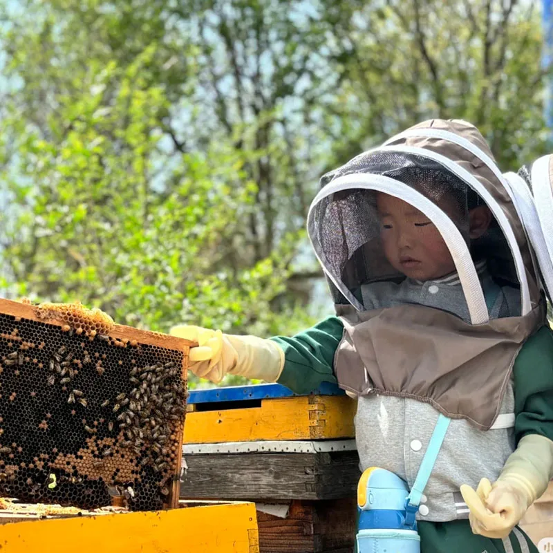 مكافحة قبعة النحل النحال خلية النحل تربية النحل قبعة رعاة البقر البعوض النحل شبكة حشرات الحجاب رئيس الوجه حامي معدات تربية النحل