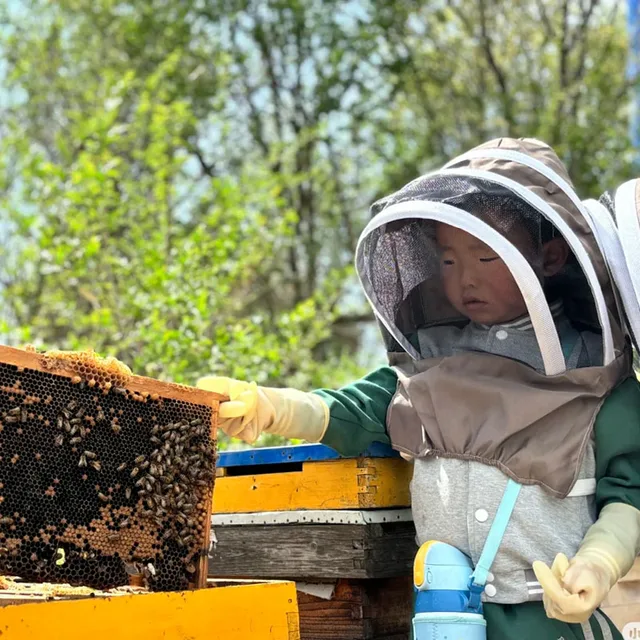 مكافحة قبعة النحل النحال خلية النحل تربية النحل قبعة رعاة البقر البعوض النحل شبكة حشرات الحجاب رئيس الوجه حامي معدات تربية النحل