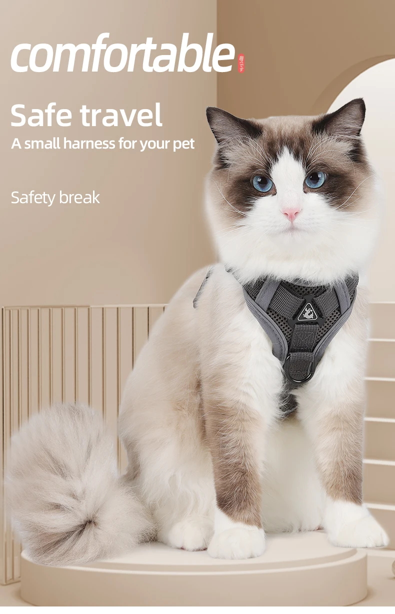 S71a9ebc7e39f449581d0903920f733b3i