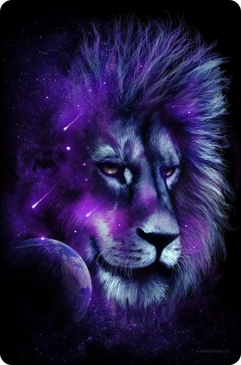 

Unorthodox Collective Tin Sign Leonine Sky Black Retro Wall Home Bar Pub Vintage Cafe Decor, -Metal Tin Signs, Home Kitchen Wall