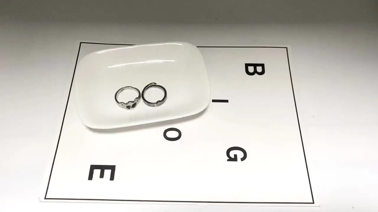301862_8 301862_8