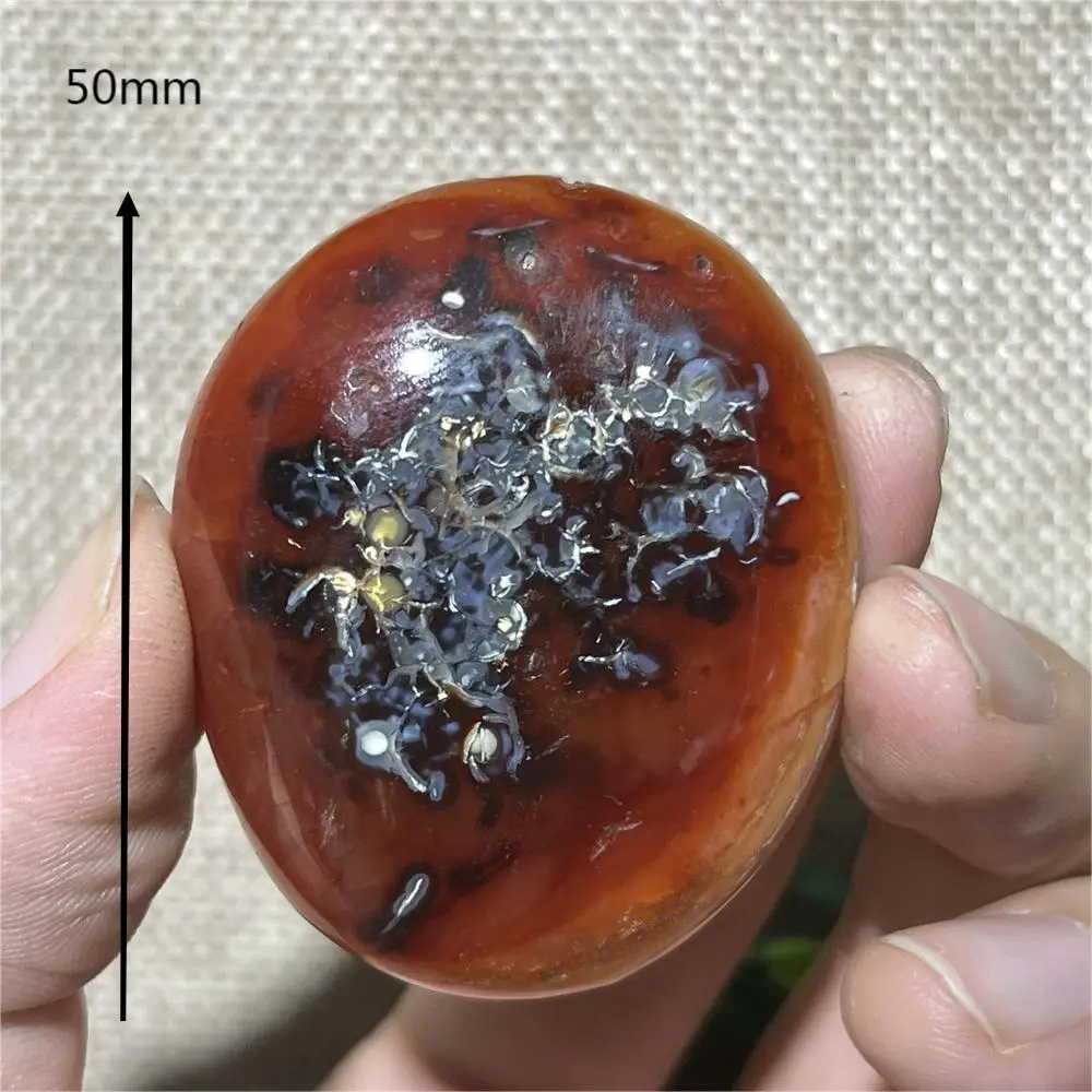Natural Carnelian Palm Mini Reiki Red Agate Stone Quartz Meditation High Quality Reiki Mineral House Decorati Beauty Energy 3