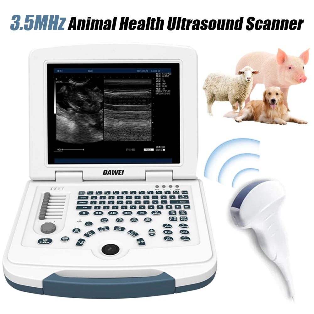 

3.5MHz Veterinary Laptop Ultrasound Machine 12.1 Inch Portable Vet Scanner with Convex Probe for Pig Sheep Dogs Pregnancy Check