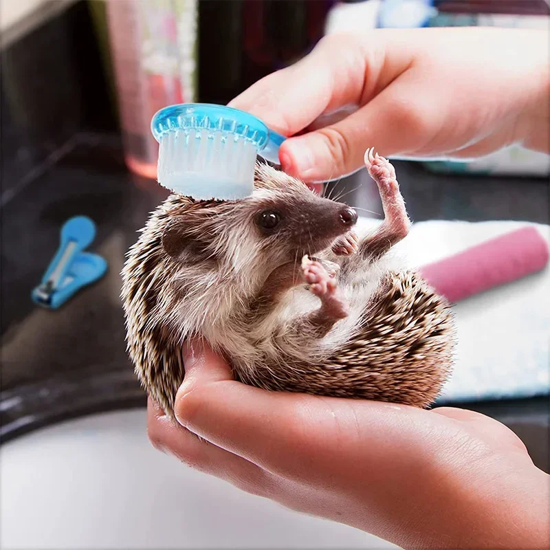 Pet Cleaning Tools Pet Grooming Comb 1Pc Hamster Brush Hedgehog Bathing Brush Guinea Pig Massage Combs for Hedgehog Small Animal Grooming