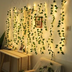 Enchanting Ivy Fairy LED String Lights - Indoor Decorative Garland with Battery Operation - 5M 50LEDs (3 - Green Dill)