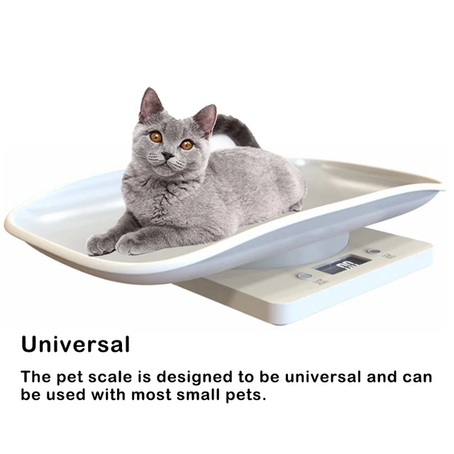 ABS Digital Small Pet Scale Portable Washable Nonslip Round Corner Battery  Powered Replacement Weighing Scales Tool with Hook - AliExpress