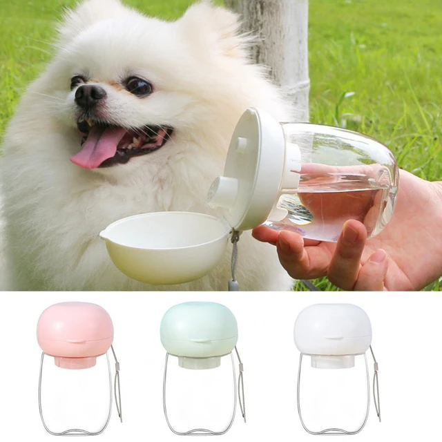 High Temperature Sterilizable Water Cup Safe Pure Pet Water Cup  Travel-friendly Portable Pet Water Bottle Easy-to-use for Small - AliExpress