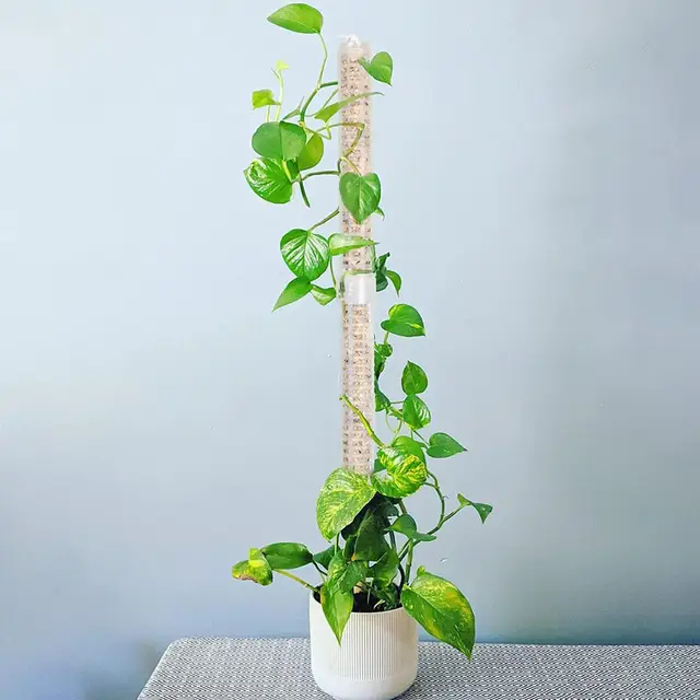 39 Cm -Es Növényi Hegymászó Keret Egymásra Rakható Mohás Mászás Tervezés Cserepes Tartó Műanyag Növények Pólus Üreges St D5S0 - Image 4