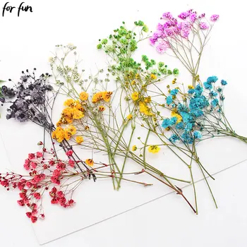 For Fun DIY Natural Dried Flowers Resin Mold Fillings UV Epoxy for Nail Art Pressed Flower Home Decoration Handmade Accessories