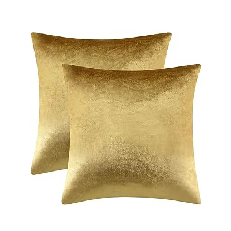 

2 Pack Soft Cushion Covers Velvet Decorative Throw Pillow Covers,18"x18"Pillow Covers for Couch Sofa Bed