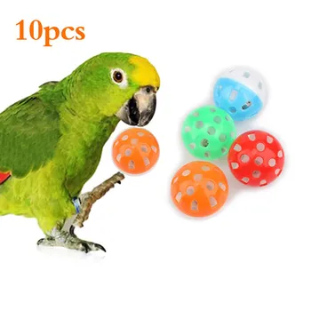 Colorful Parrot Toy Balls 1