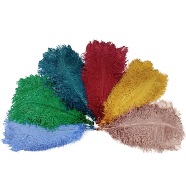 15-50cm Colorful Ostrich Feathers Bulk 50Pcs Ostrich Plumas for Wedding  Party Decor Table Centerpieces Carnival Wings Feather - AliExpress