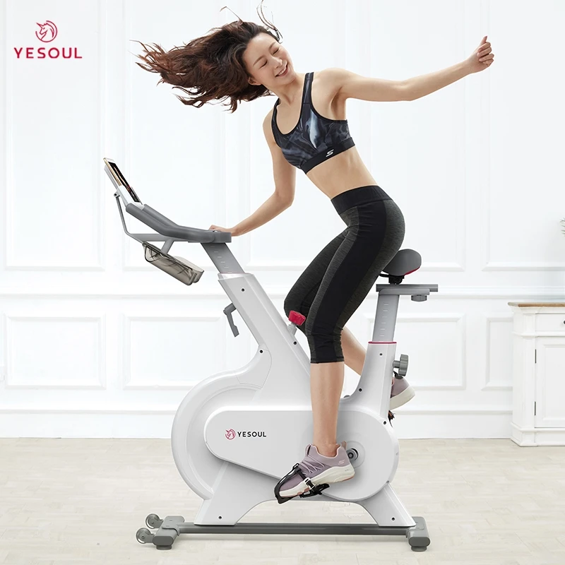 Yesoul M1 China Factory White Indoor Home Exercise Bike Smart Spinning Bike Gym