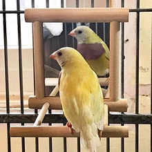 

Small and Medium Parrot Supplies Parrot Bell Toys Bird Mirror Stand Bar Bird Cage Stand Wood Color Cage for Guinea Pig