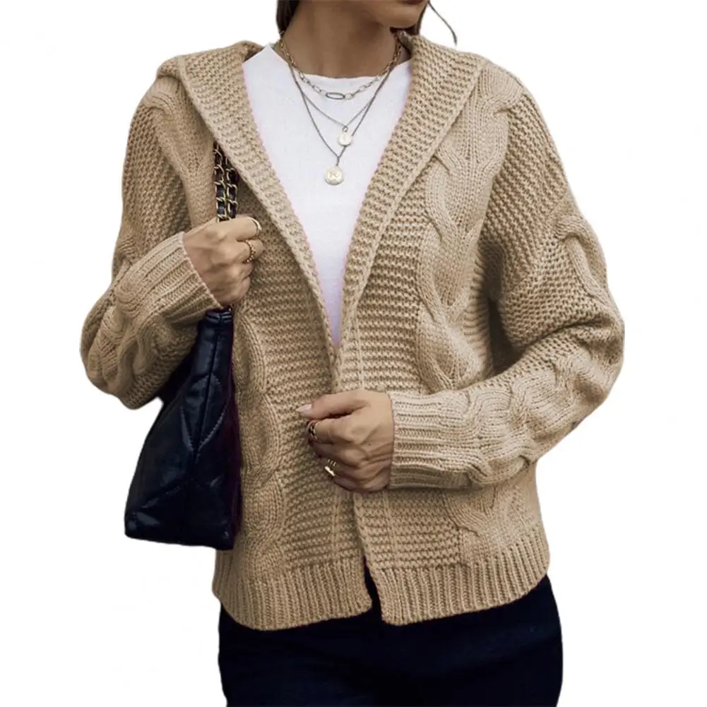 

Women's Cardigan Sweater Chunky Knit Hooded Cozy Stylish Elegant Minimalistic Polyester Long Sleeve Fall Winter Outerwear