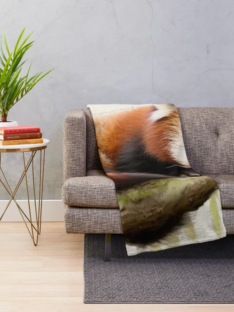 ������ ���� �Ҵ� ������ ���, ���Ŀ� �� ���