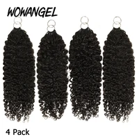 Crochet de plumes bouclées birmane pour tressage pré-séparé Invisible sans nœuds Extensions de cheveux 100% humains pour les femmes 6