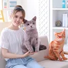Cute Simulation Cat Plush Doll Pillow 3D Three-dimensional Cat Sleeping Pillow Sofa Cushion Nap Pillow 3