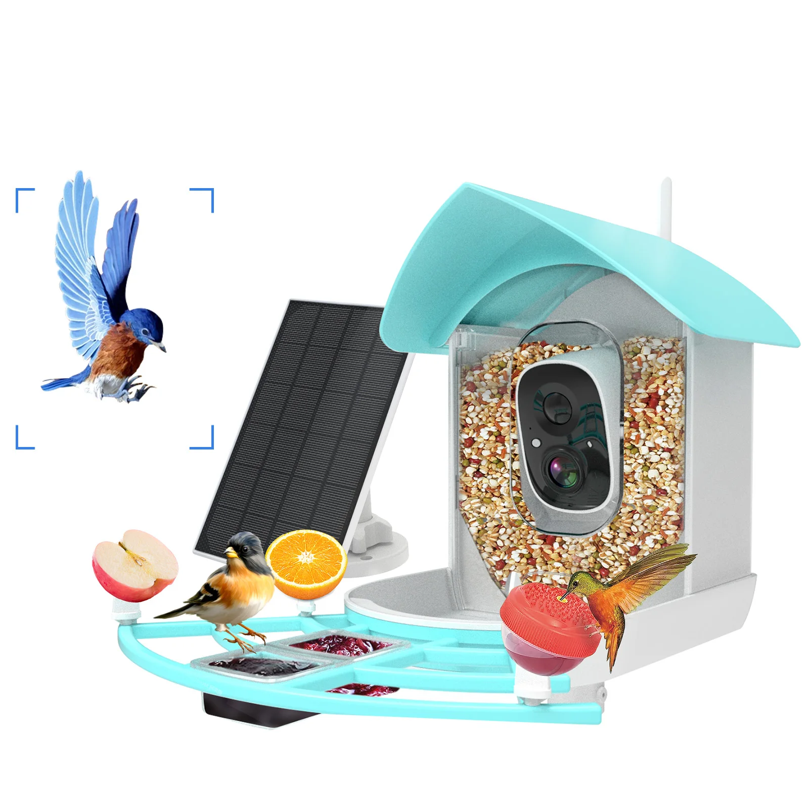 

Smart Bird Feeder with Camera PIR Motion Detection AI Intelligent Recognition Birds Species 1080P HD Video WiFi Waterproof