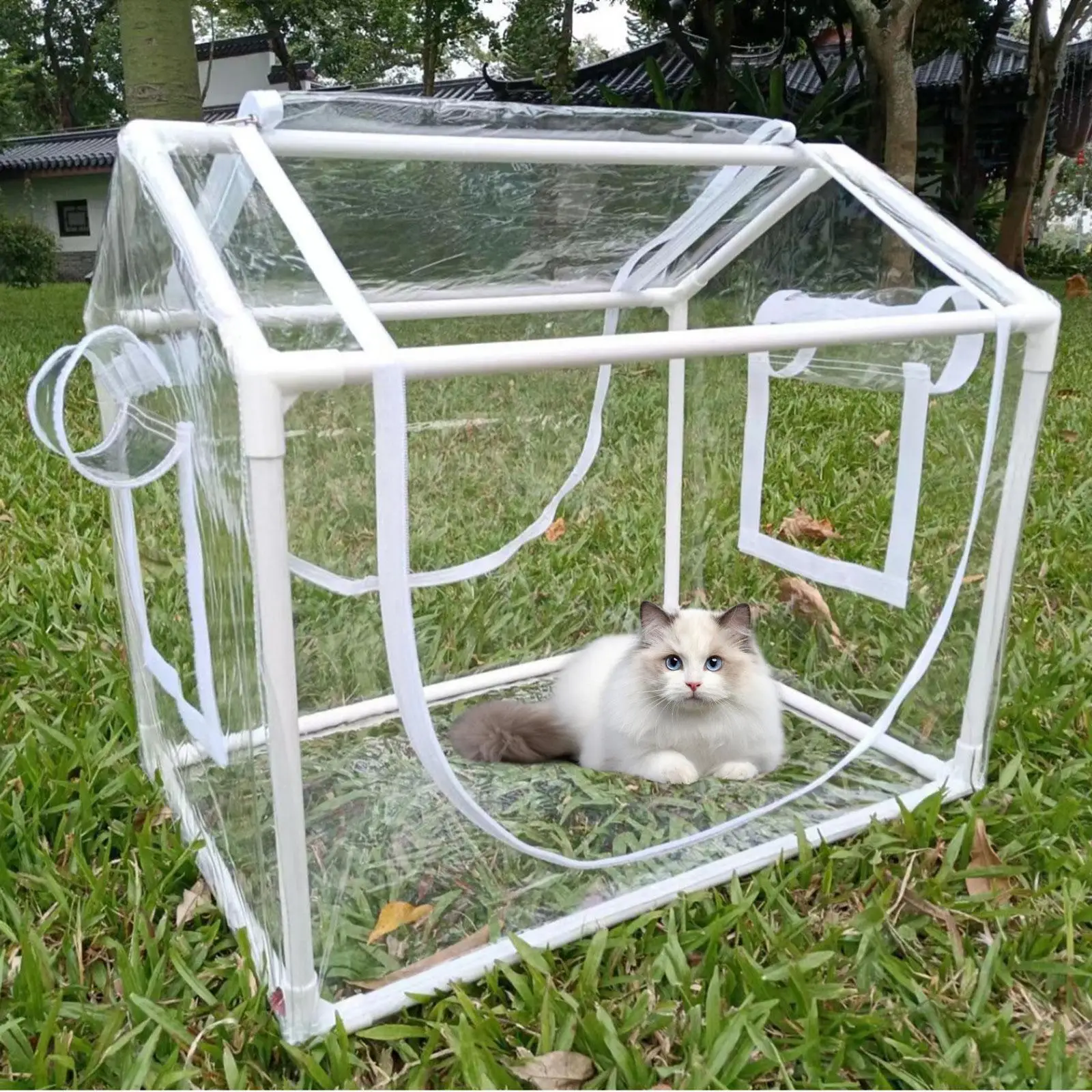 Mini Greenhouse Transparent Cold Resistant Plant Tent for Backyard Pet Patio