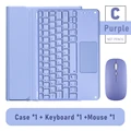 C Purple-mouse