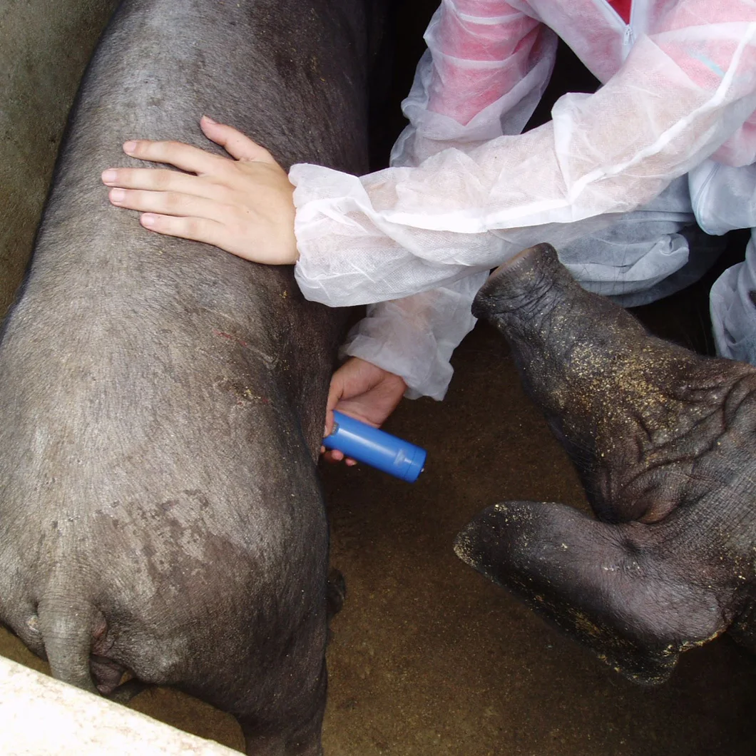 Portable Mini Veterinary Pregnancy Detector Livestock Pregnancy Test Tool Pig Goat Check Machine
