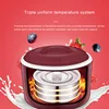 220V Electric Automatic Yogurt Maker Multifunctional Thermostatic Yogurt Machine Rice Wine Natto Machine Stainless Steel Liner 5
