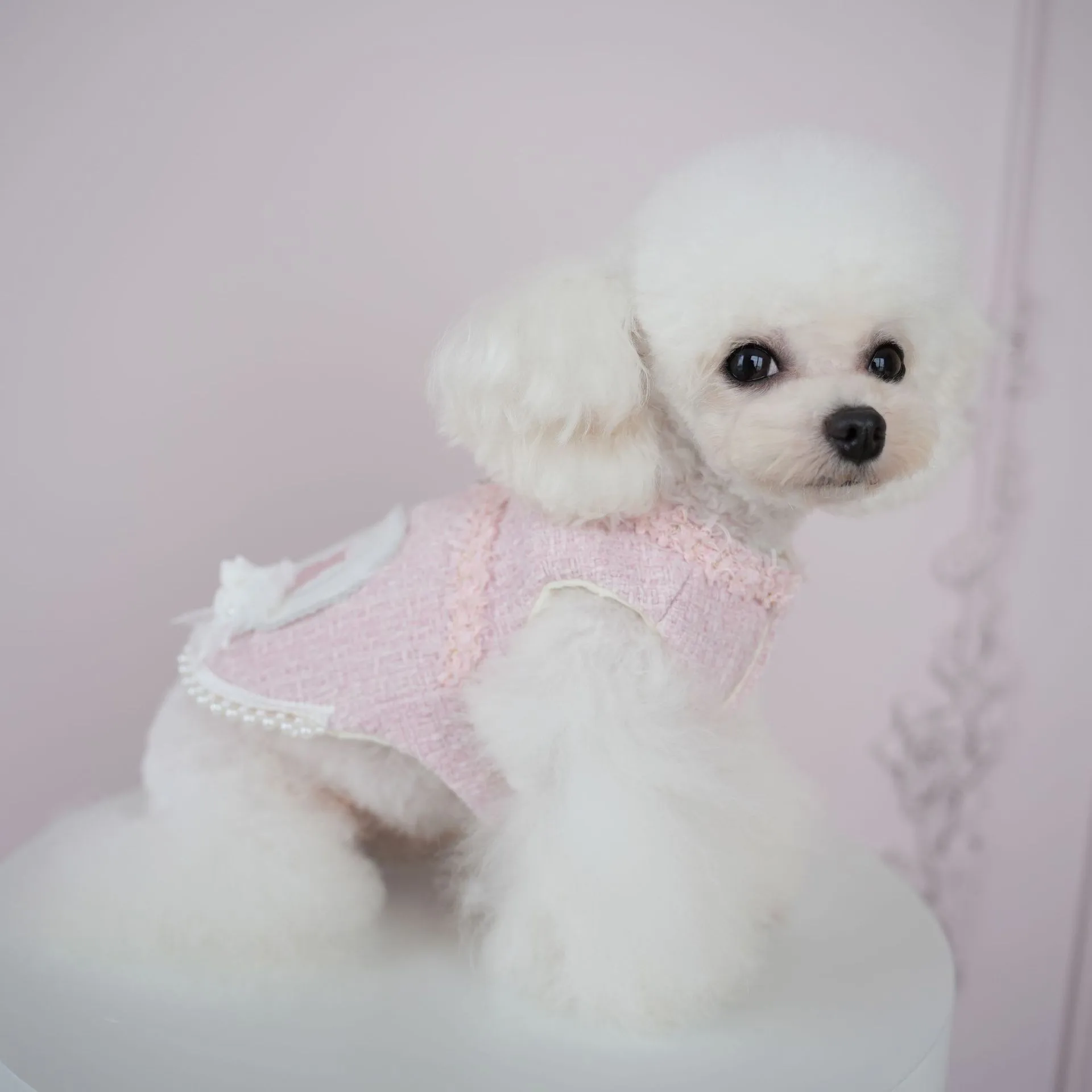 Pet dog clothing cat autumn and winter warm clothing socialite haute couture fragrant style skirt cotton coat that can be pulled