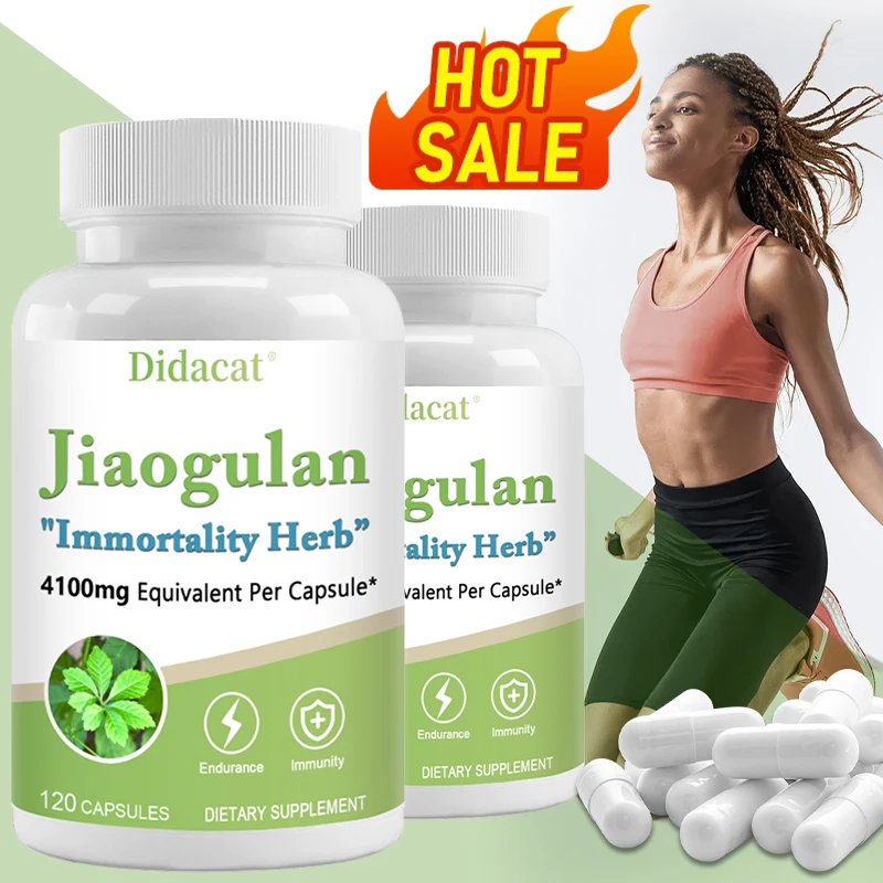 Jiaogulan Supplement Antioxidants Metabolism Mitochondrial Support