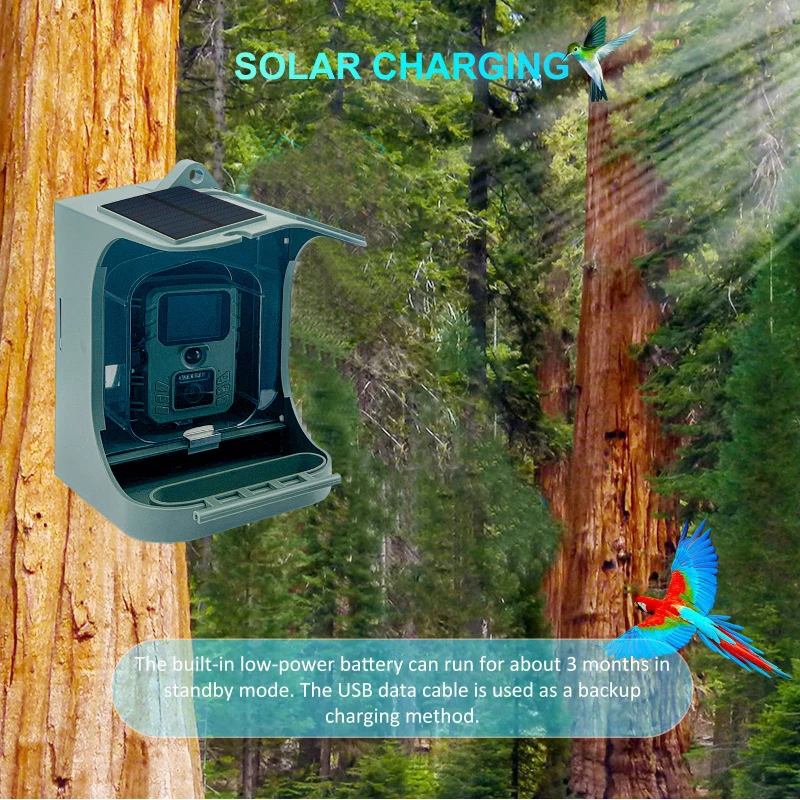Solar Powered 1080P Wireless WiFi Smart Bird Feeder Camera Waterproof Bird Watching Camera Hunting Trail camera